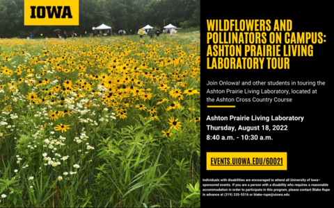 Wildflowers and Pollinators on Campus: Ashton Prairie Living Laboratory tour